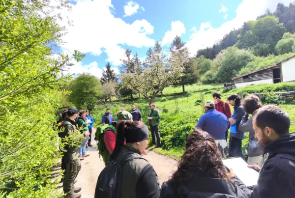 Concorso guardiaparco Parco Nazionale d’Abruzzo 2026 - WhatsApp Image 2026-05-18 at 10.28.59 (1)